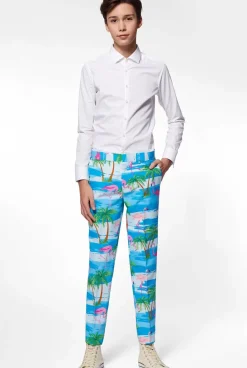 OppoSuits Flaminguy^Teen Boys Prom Suits