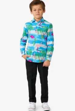 OppoSuits Flaminguy^Boys Casual Shirts