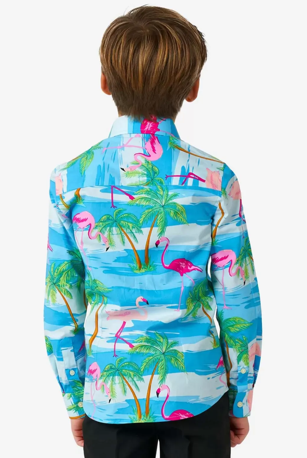 OppoSuits Flaminguy^Boys Casual Shirts