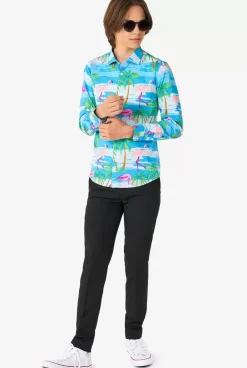 OppoSuits Flaminguy^Teen Boys Casual Shirts