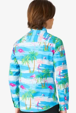 OppoSuits Flaminguy^Teen Boys Casual Shirts