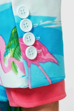 OppoSuits Flaminguy^Men Prom Suits